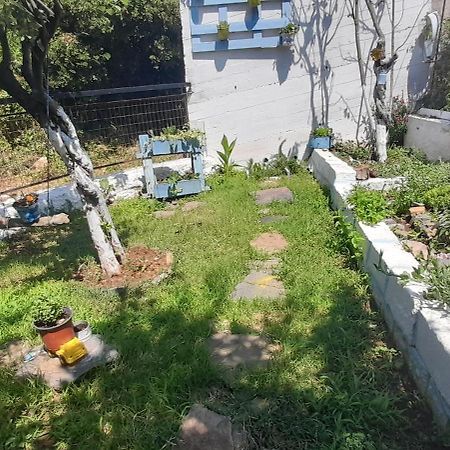 Апартаменты Το Σπίτι Της Ελένης Vlachia Экстерьер фото