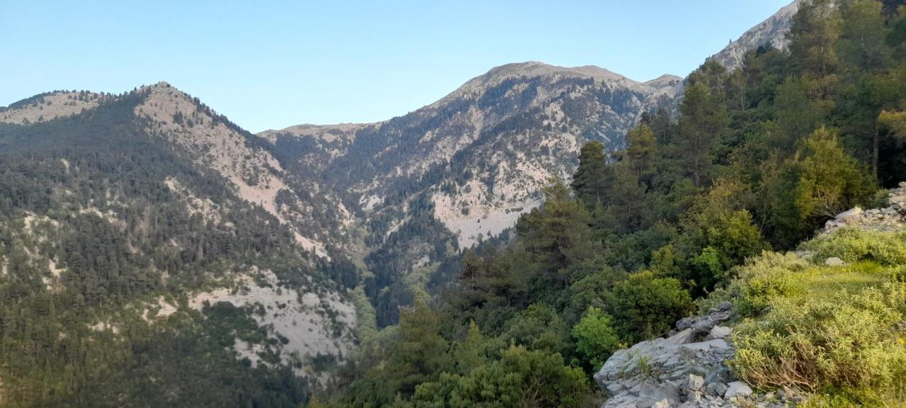 Апартаменты Το Σπίτι Της Ελένης Vlachia Экстерьер фото