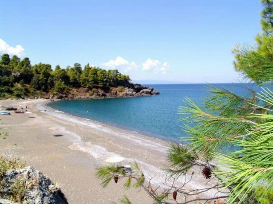 Апартаменты Το Σπίτι Της Ελένης Vlachia Экстерьер фото